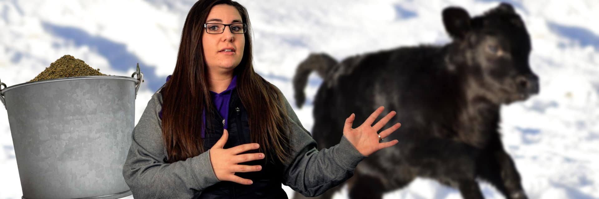 Calf Vigor Creative Blog Thumbnail
