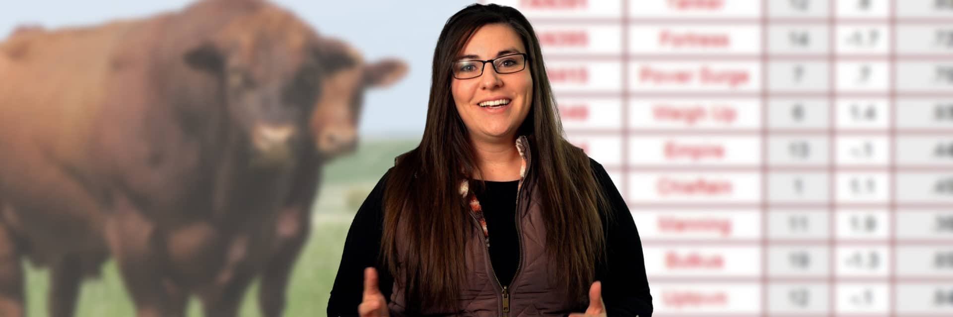 Calving Genetics Creative Blog Thumbnail