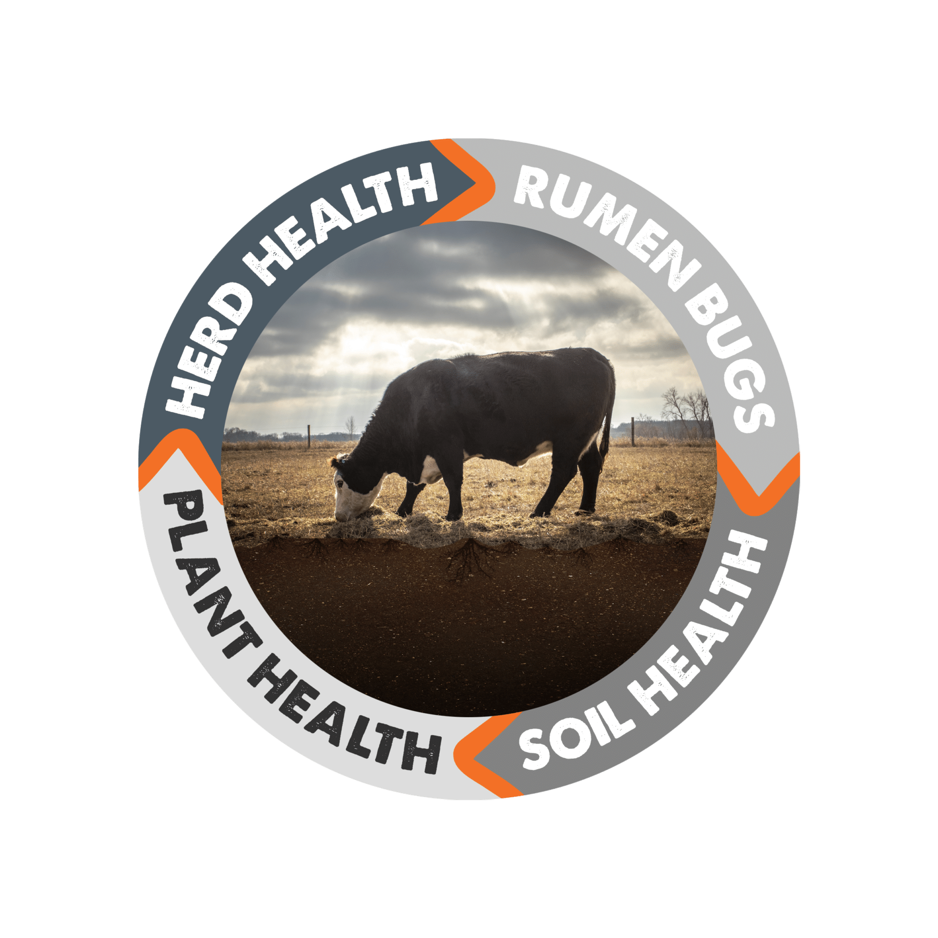 Full_Circle_Diagram_1 herd health rumen bugs soil health plant health