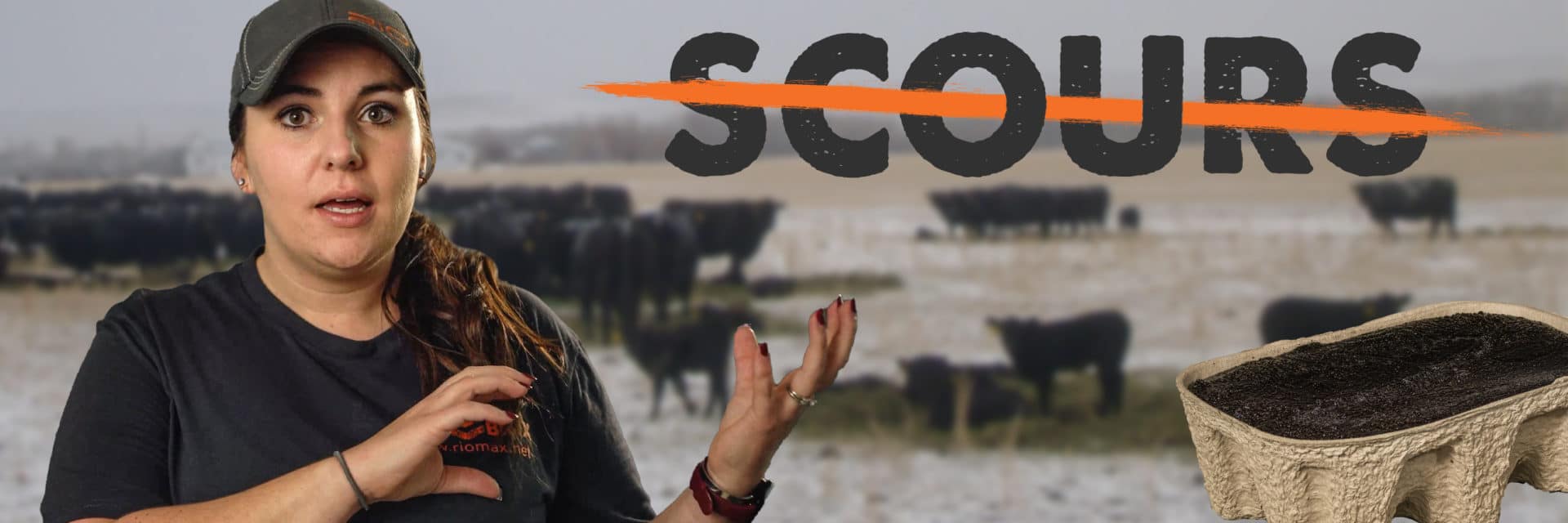 How does Riomax fight scours Creative Blog Thumbnail