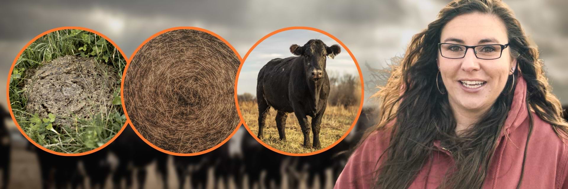 How to visually see the effects of Nutrizorb Creative Blog Thumbnail