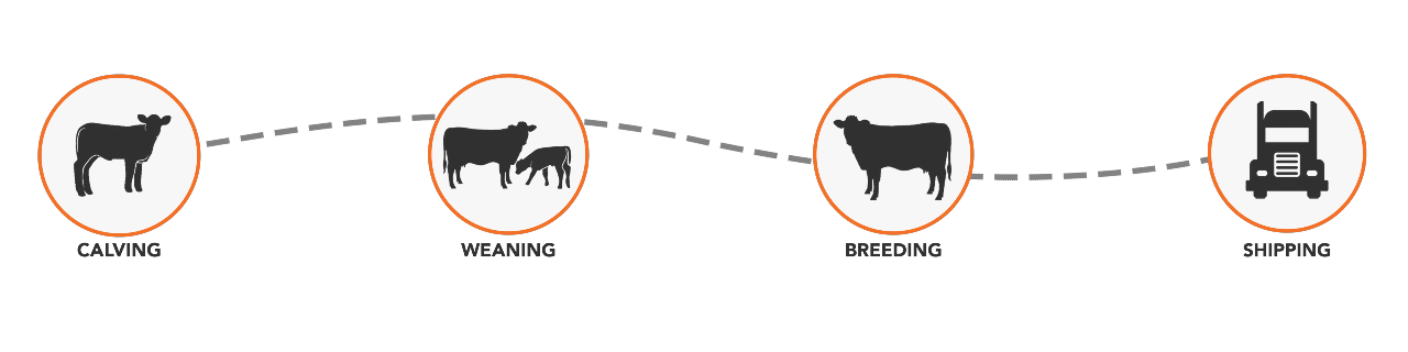 Turboboost360_Use_Cases_Diagram