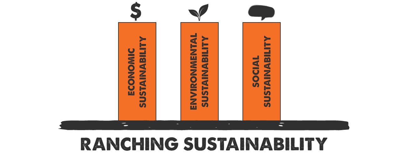 Beef Producer Sustainability Beef Producer Sustainability