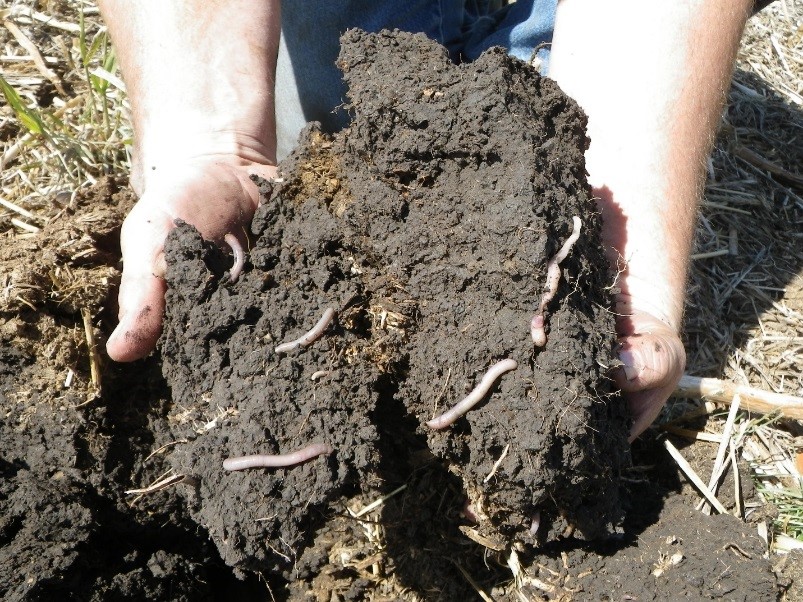 aggregated soil - jay fuhrer aggregated soil - jay fuhrer