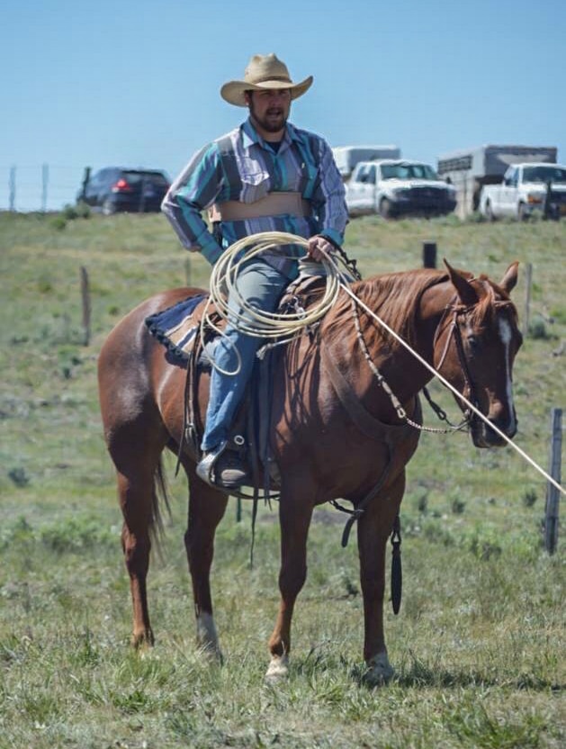 alec oliver riding horse alec oliver riding horse