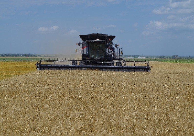 harvesting in cool season - jay fuhrer harvesting in cool season - jay fuhrer