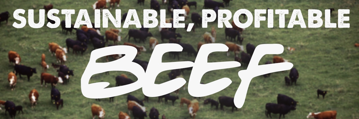 sustainable profitable beef