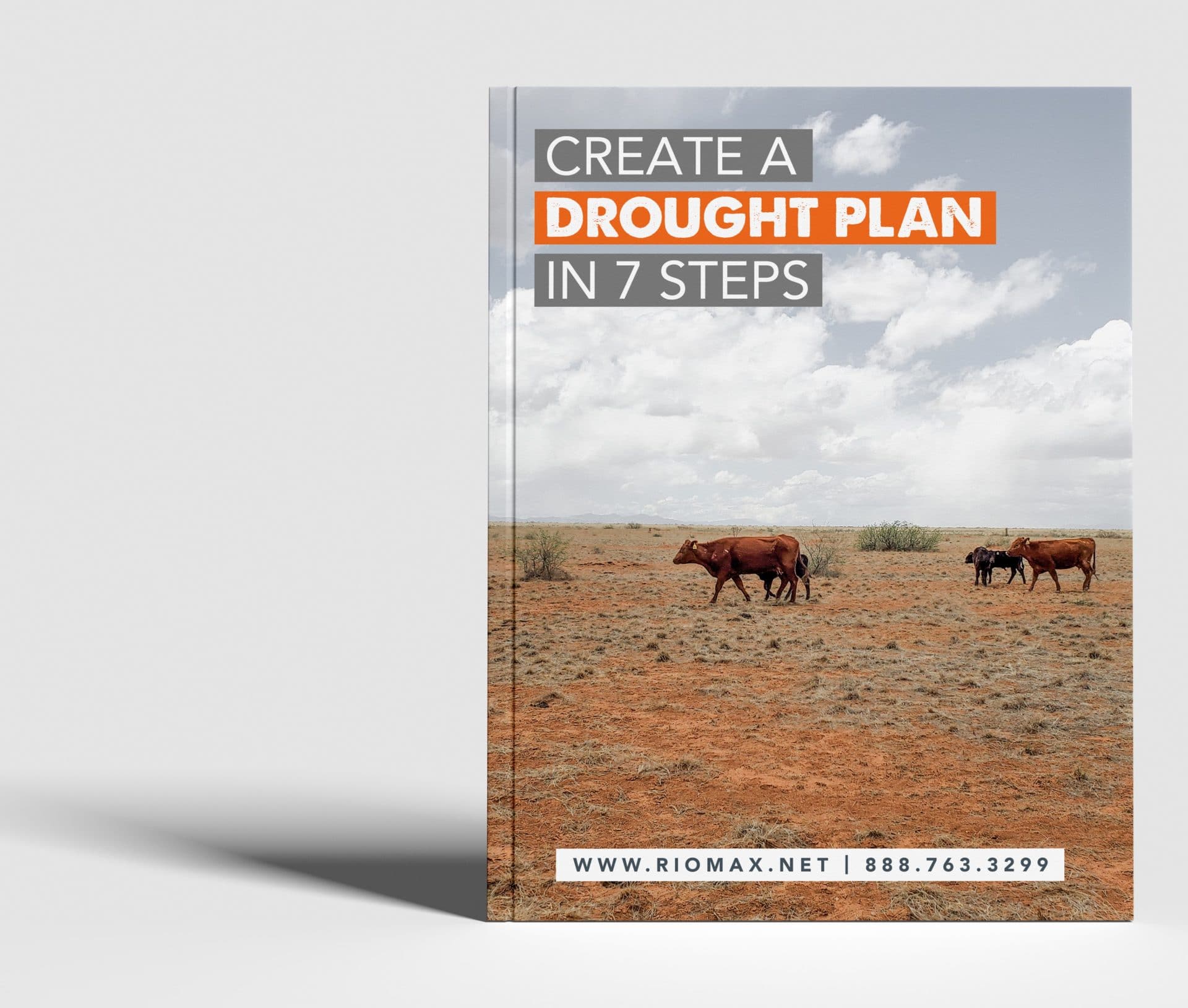 Create_A_Drought_Plan_in_7_Steps_Mockup.CROPPEDjpg Create_A_Drought_Plan_in_7_Steps_Mockup.CROPPEDjpg