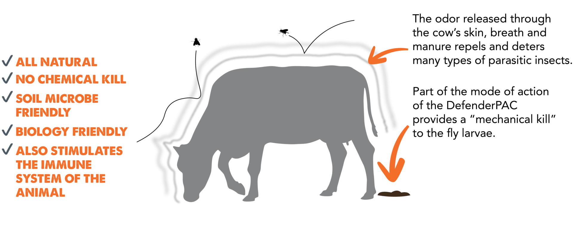 garlic fly control for cattle garlic fly control for cattlerol for cattle