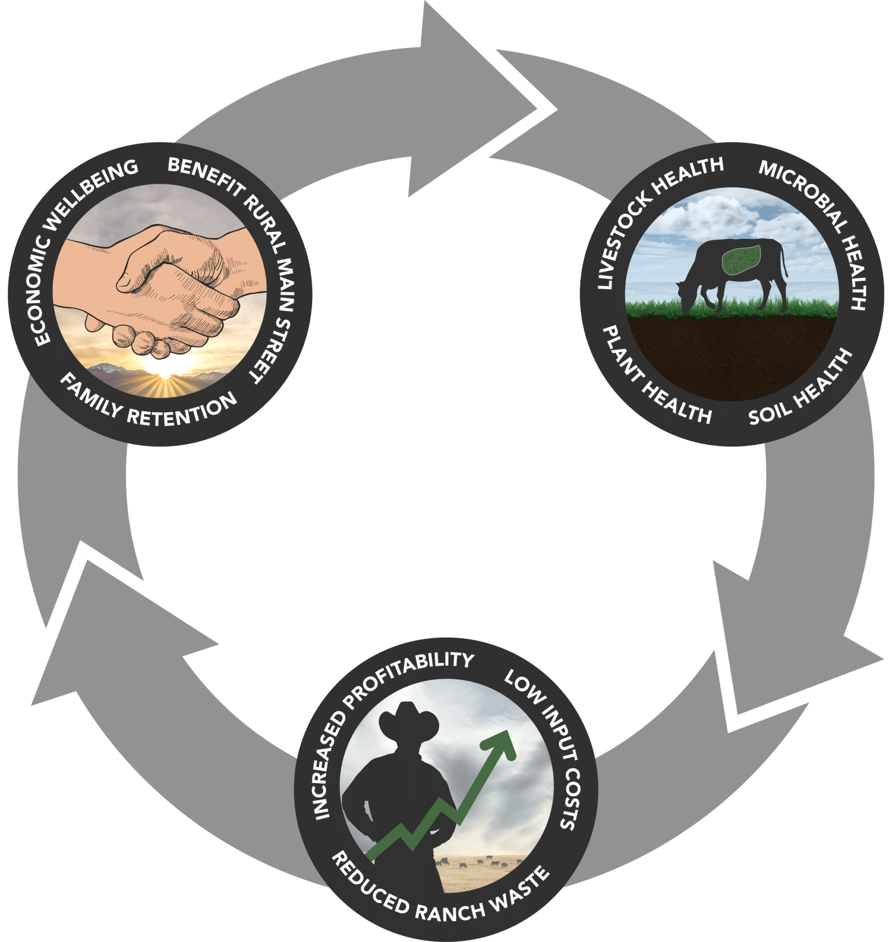 Regenerative_Ranching_Diagram_Neutral Regenerative_Ranching_Diagram_Neutral