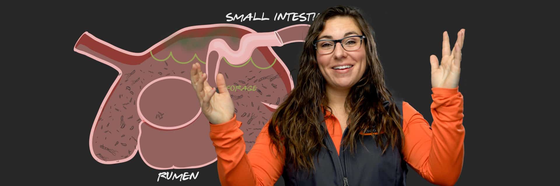 How is Riomax Protein Different Creative Thumbnail