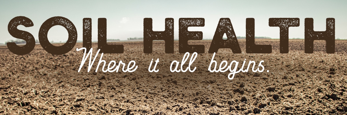 soil health