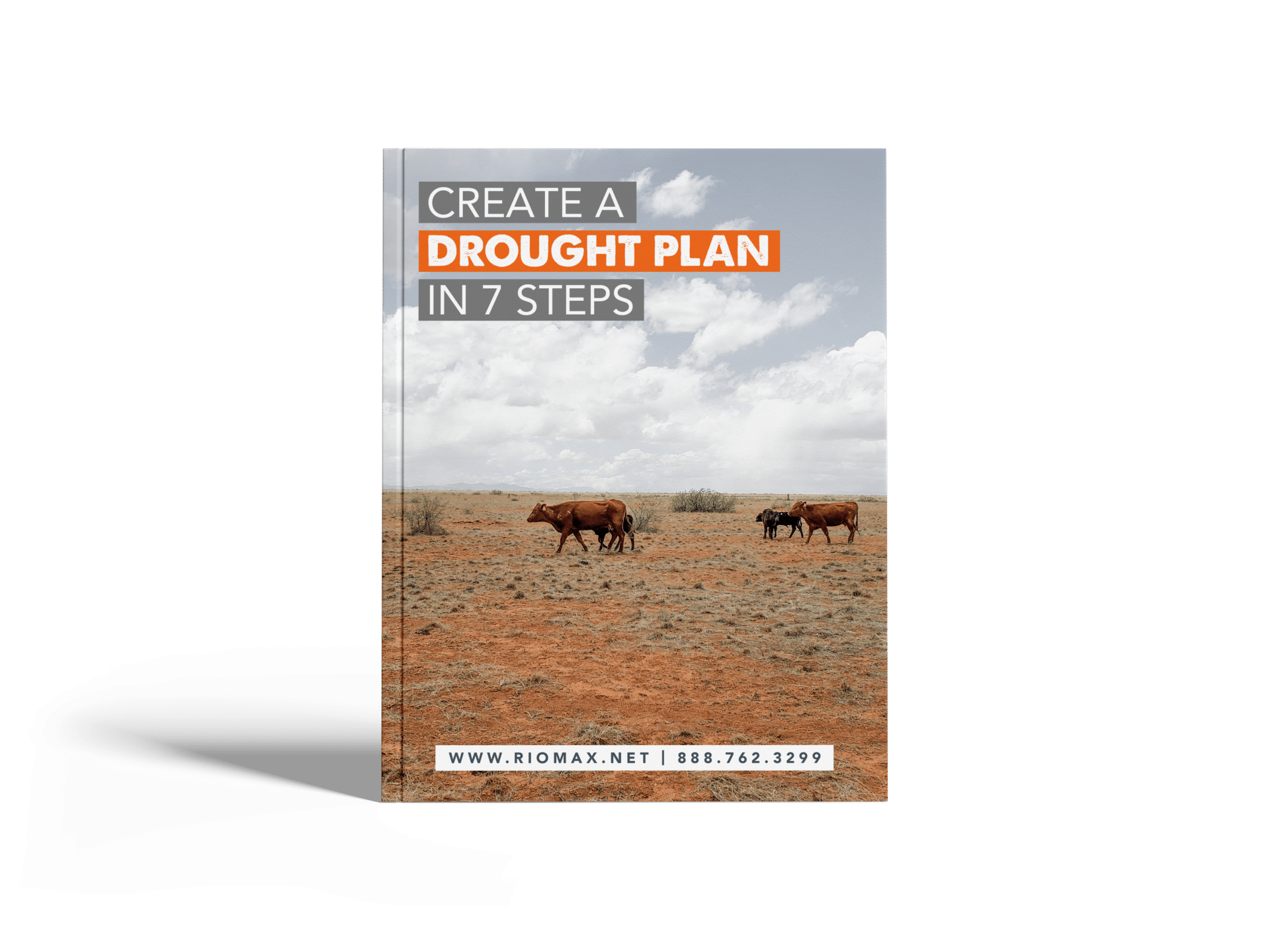 Create A Drought Plan in 7 Steps Mockup