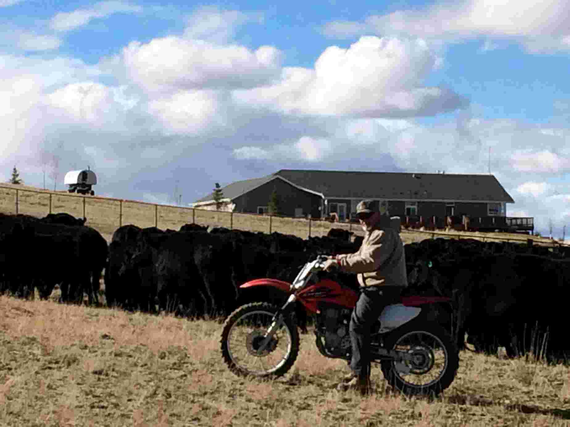 john erramouspe motor bike john erramouspe motor bike