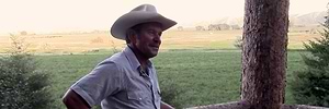Larry Chamberlain Review Post Thumbnail