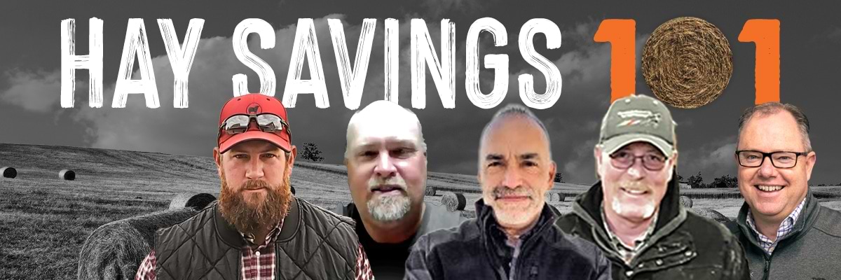 Hay Savings 101