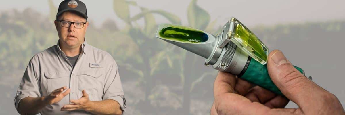 Plant Brix Feat Img