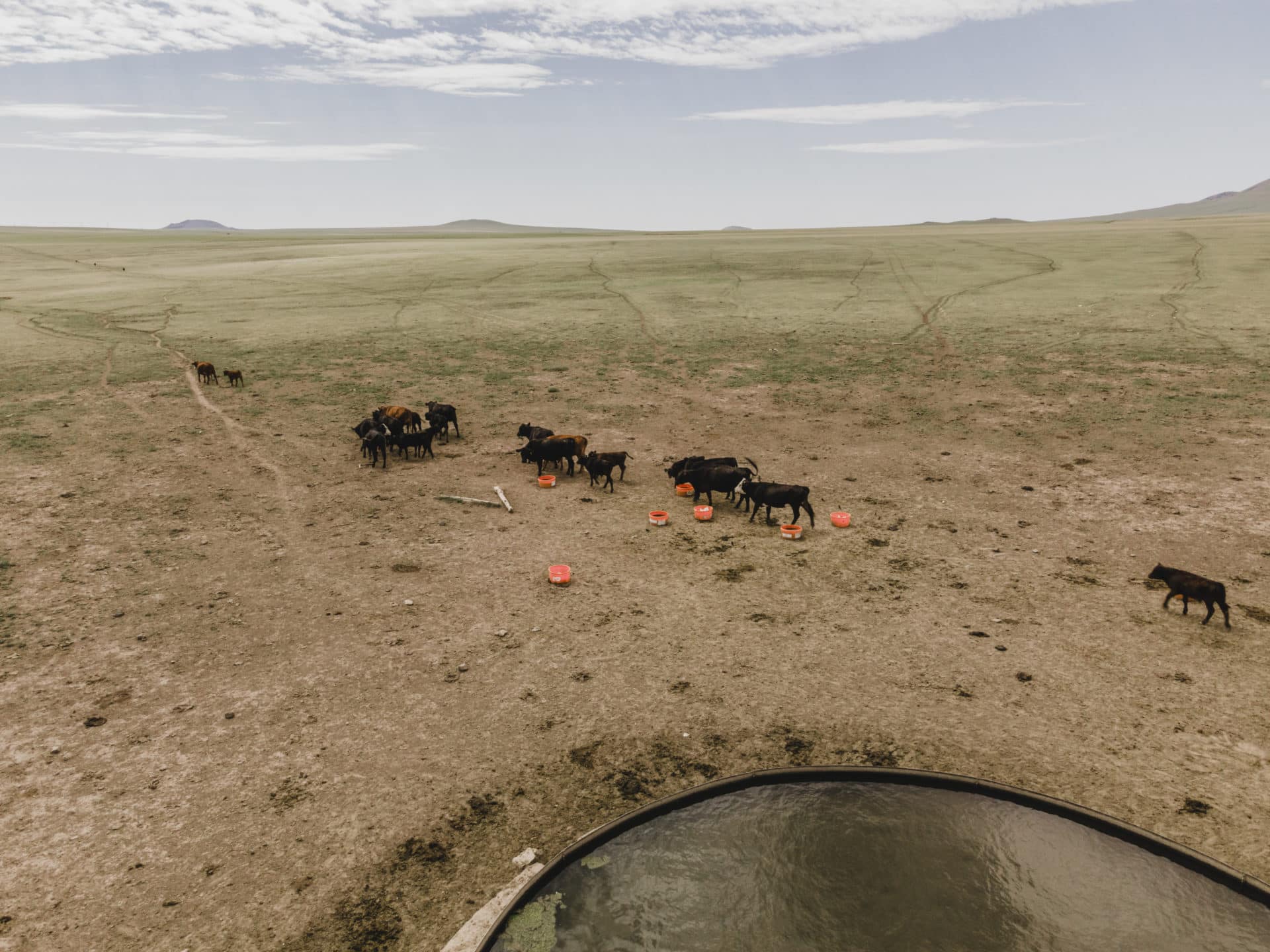 V7 Ranch-04 V7 Ranch-04