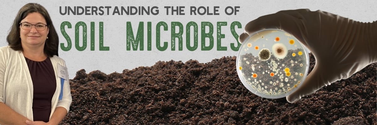 understanding the role of soil microbes feat img