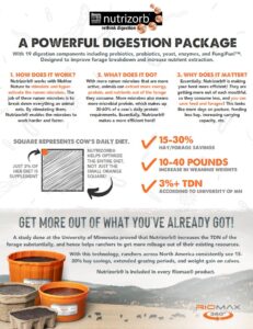 Nutrizorb Flyer