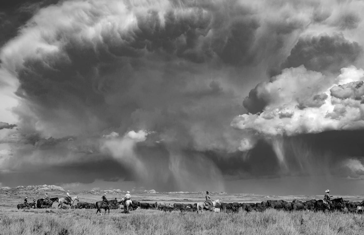 Image_1685627149396 Photo by Trace Frost