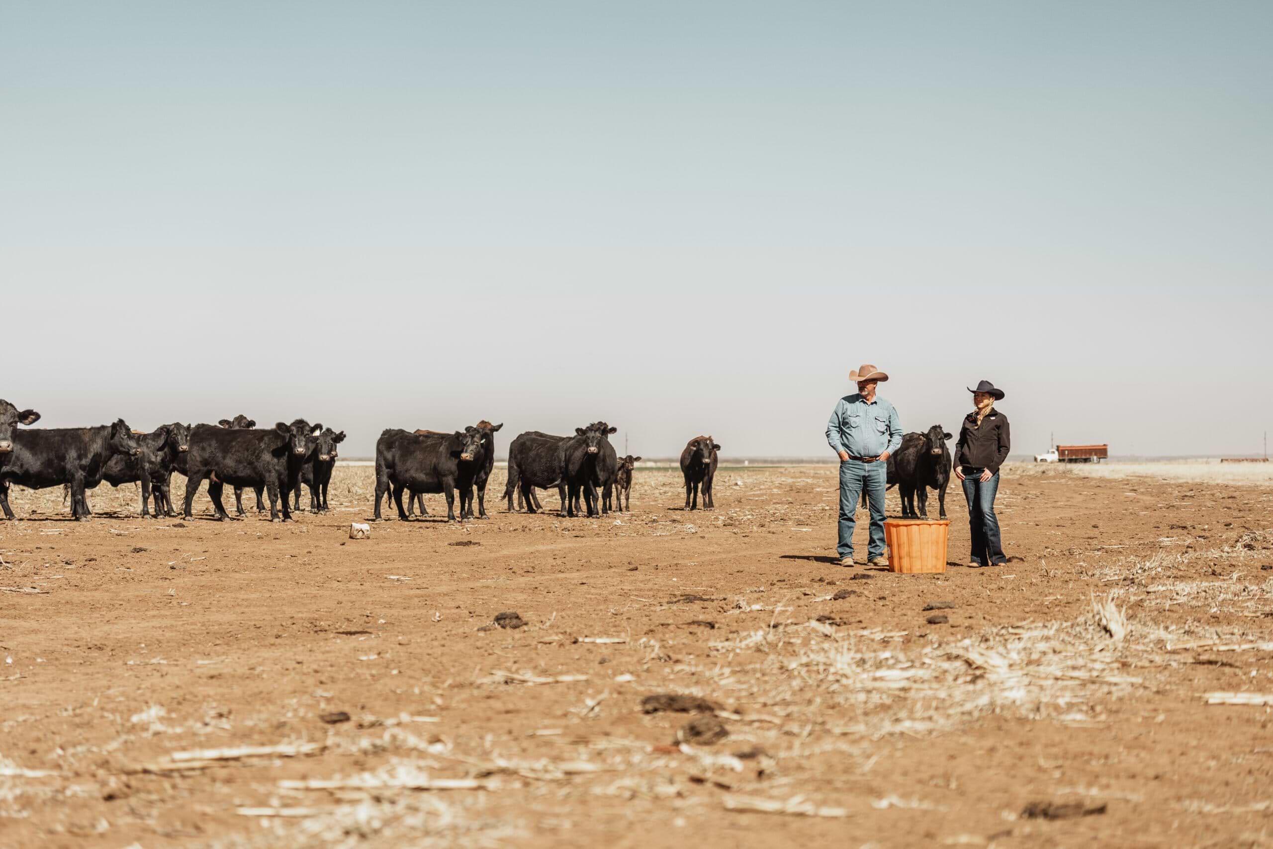 2023 02 RM TX ContentTrip RIO08937 scaled