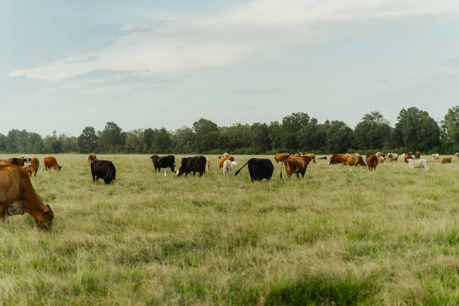 20250923-25_RM_LA_MS_ContentTrip_DSC08048