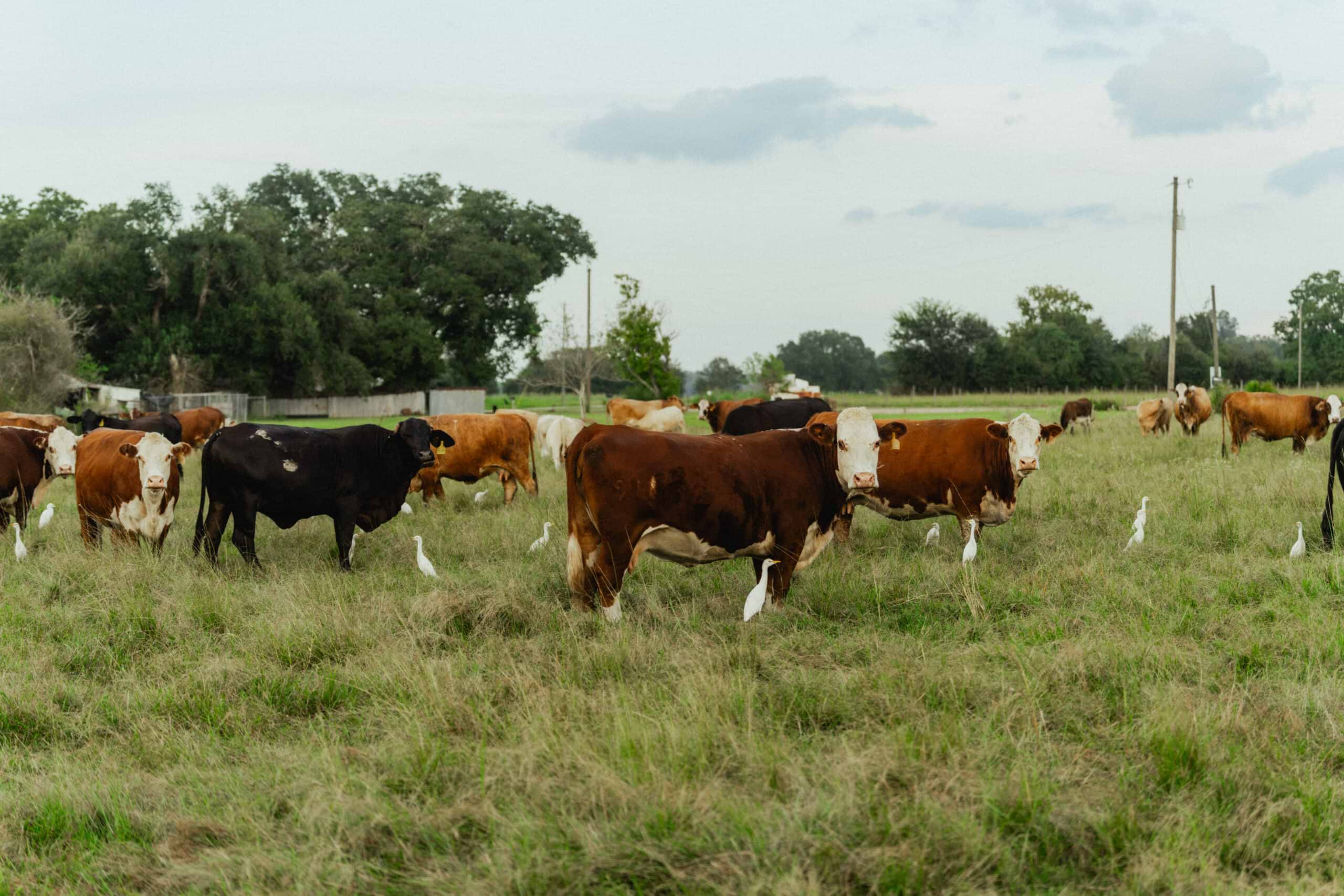 20250923-25_RM_LA_MS_ContentTrip_DSC08049