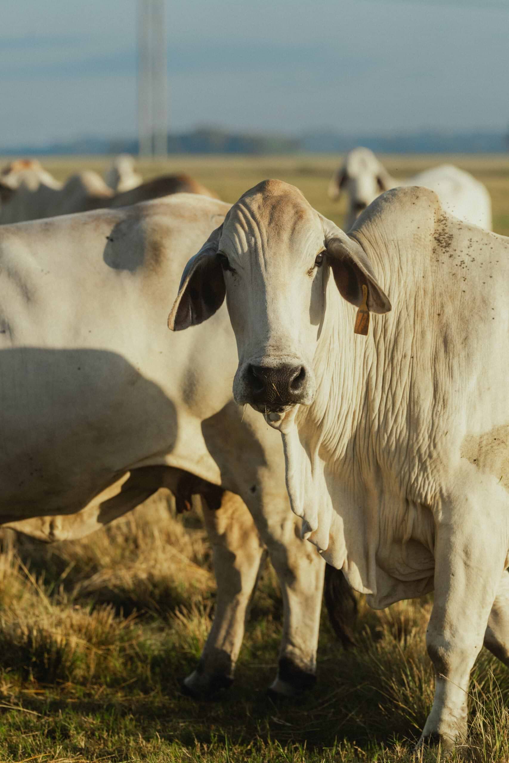 20250923-25_RM_LA_MS_ContentTrip_DSC08055