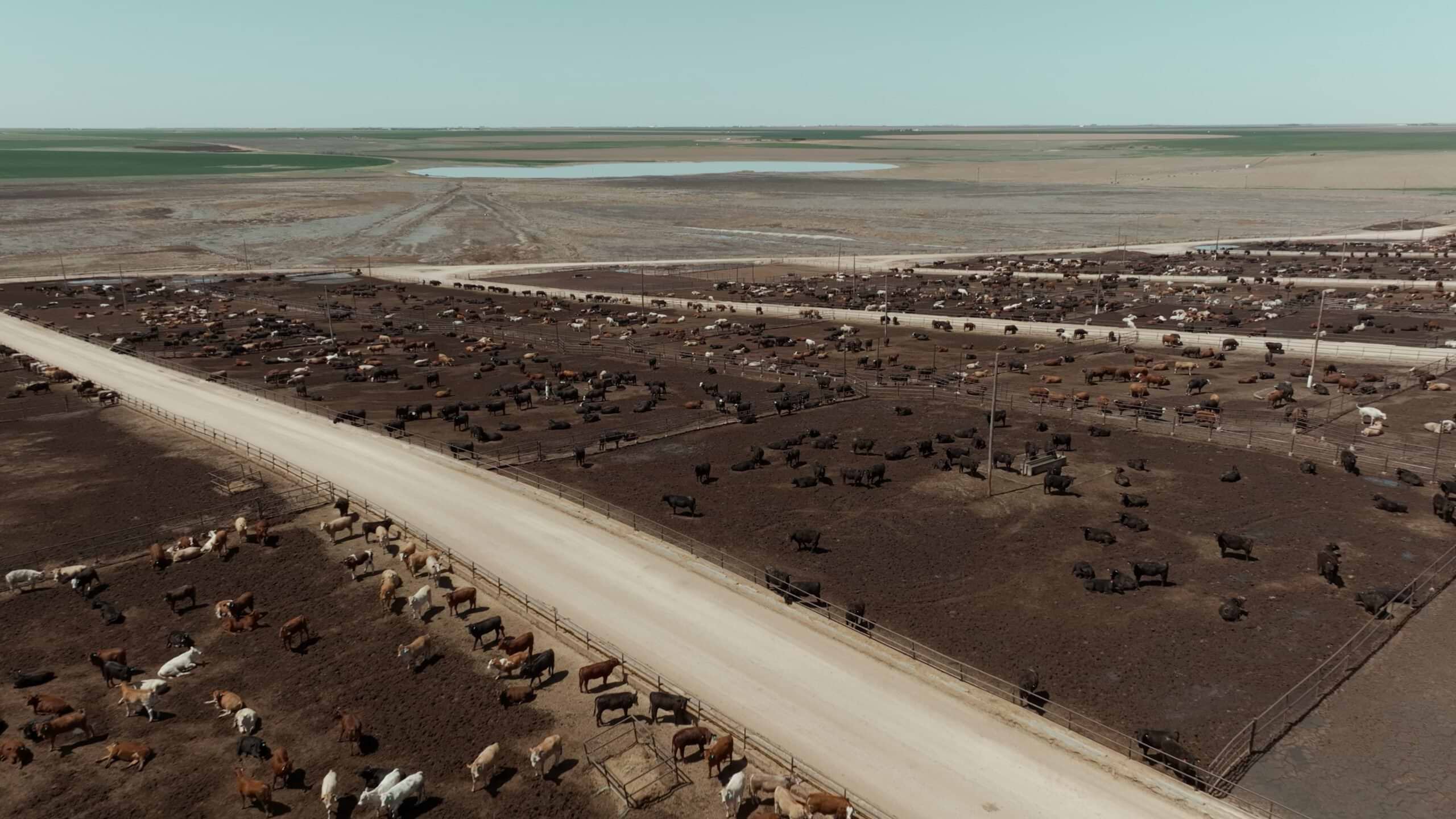 250624_JimFreemiel_RM_16x9_YT.00_00_22_00.Still001