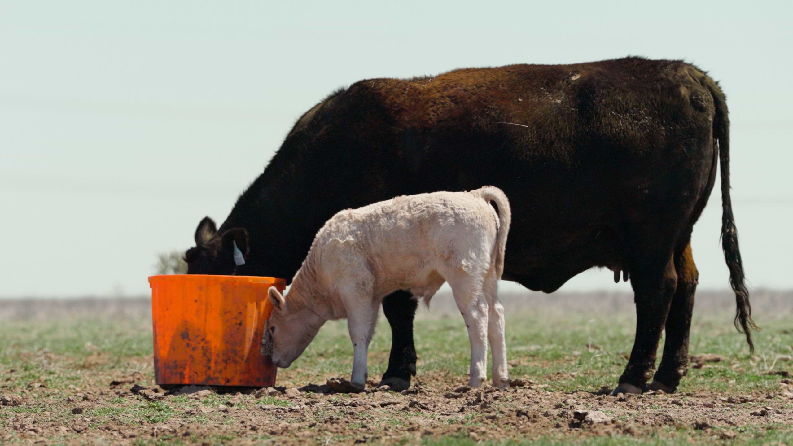 250624_JimFreemiel_RM_16x9_YT.00_01_13_09.Still002