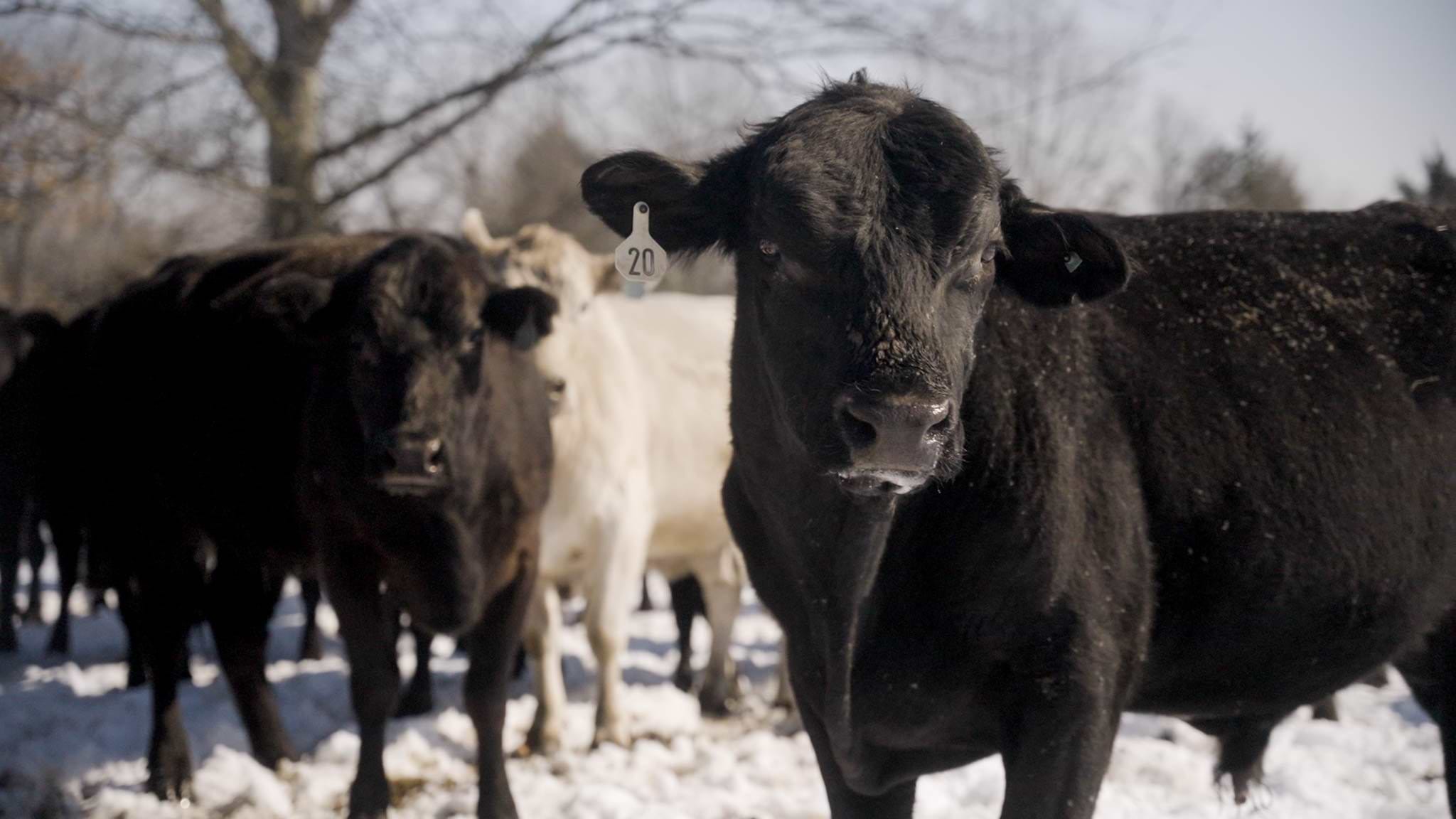 260130 RM Screenshot KSMOAR .03 58 38 19.Still024