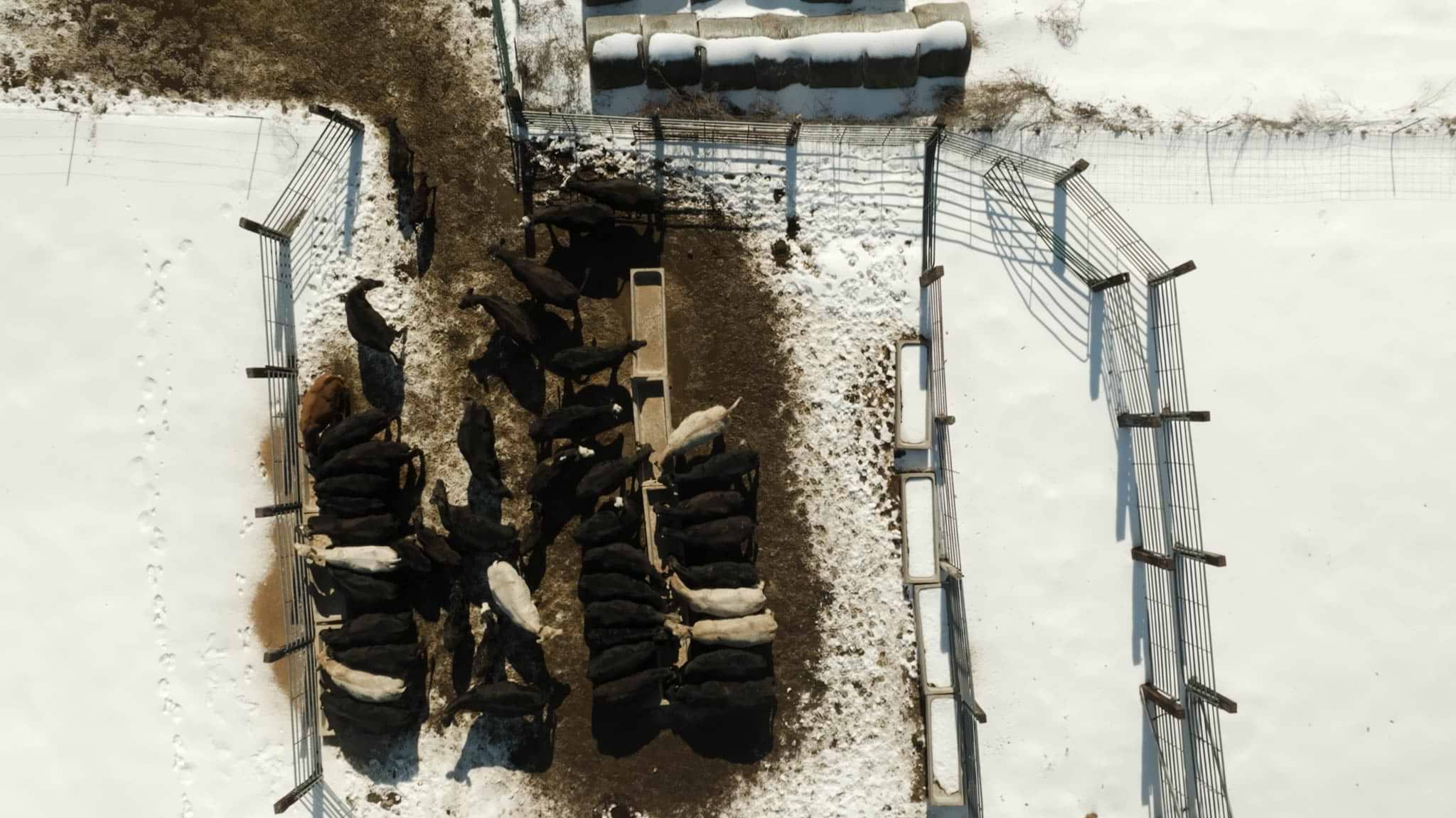 260130 RM Screenshot KSMOAR .05 32 56 08.Still039