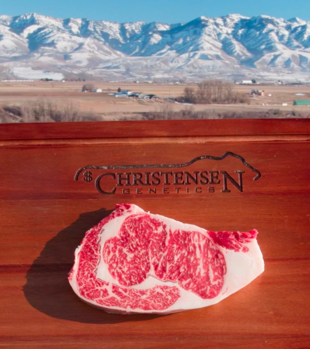 635005348 1543957964401897 8339554206839465120 n