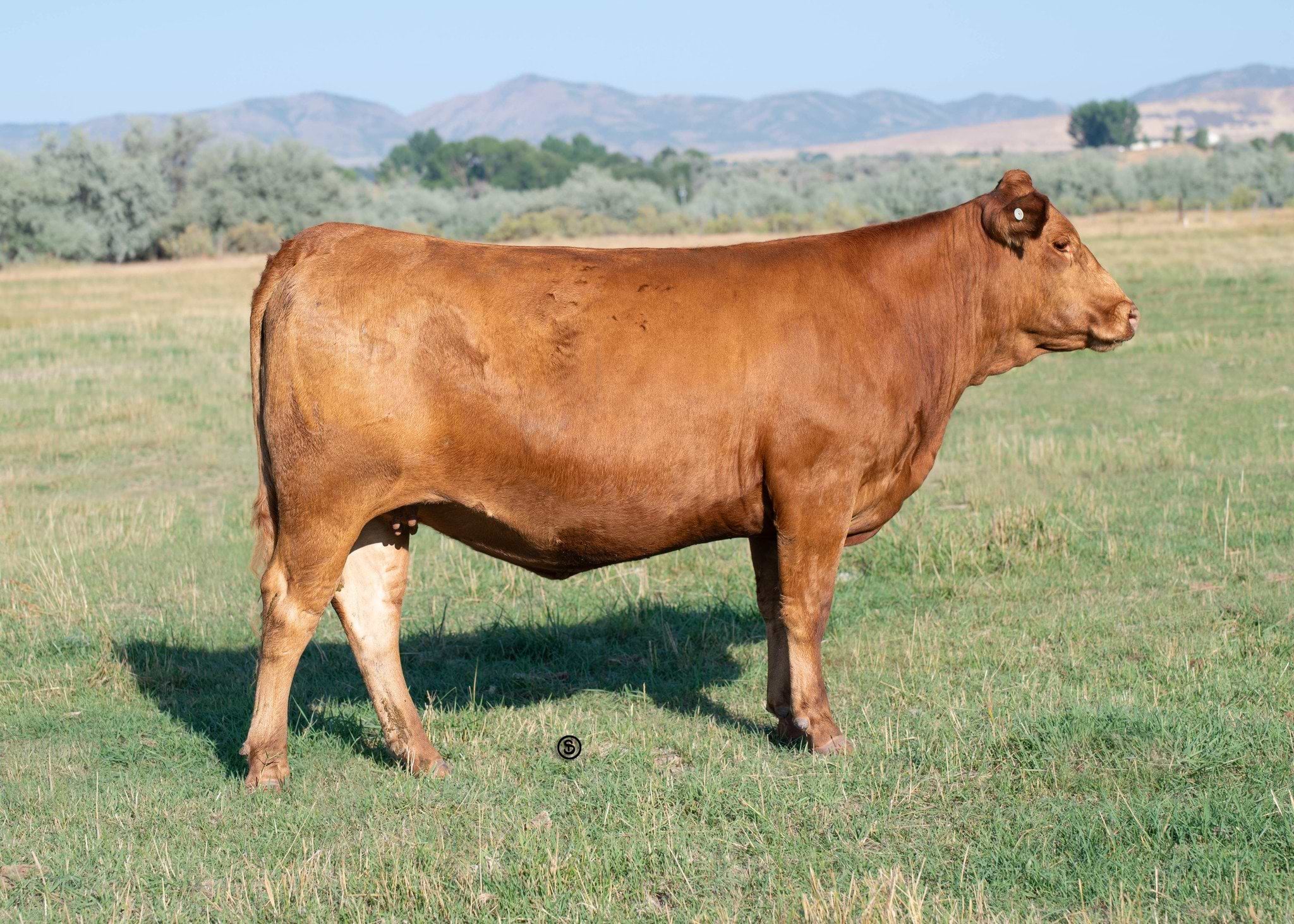 636484089 1547275514070142 627989199275238168 n