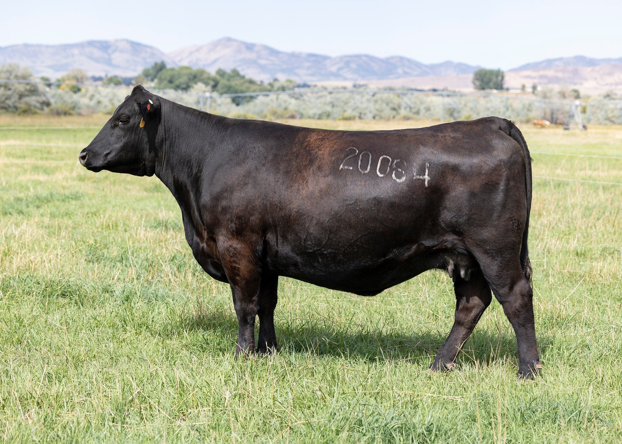 642727268 1555940849870275 7966276319026495756 n