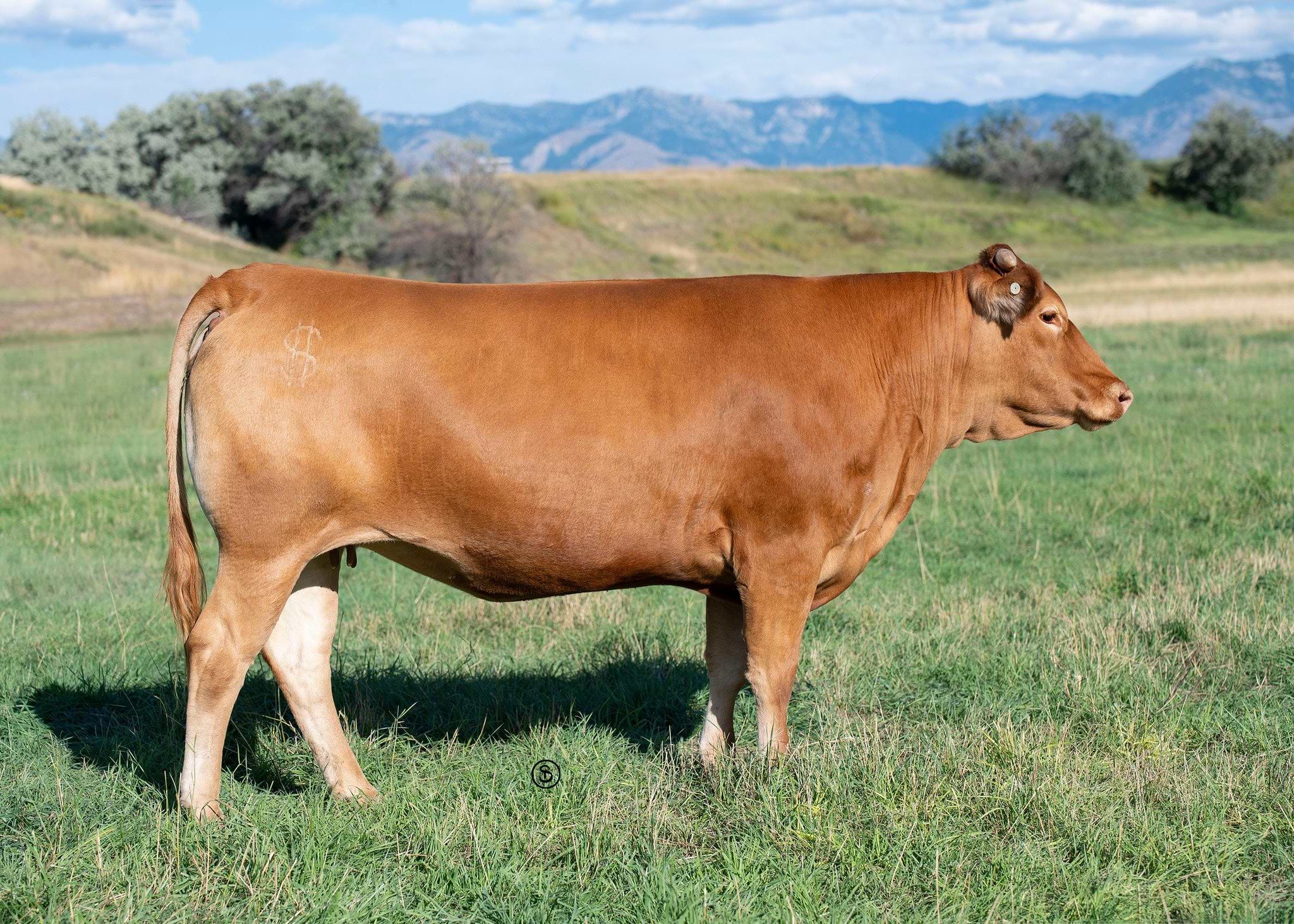 643298860 1555940723203621 812219967941356953 n