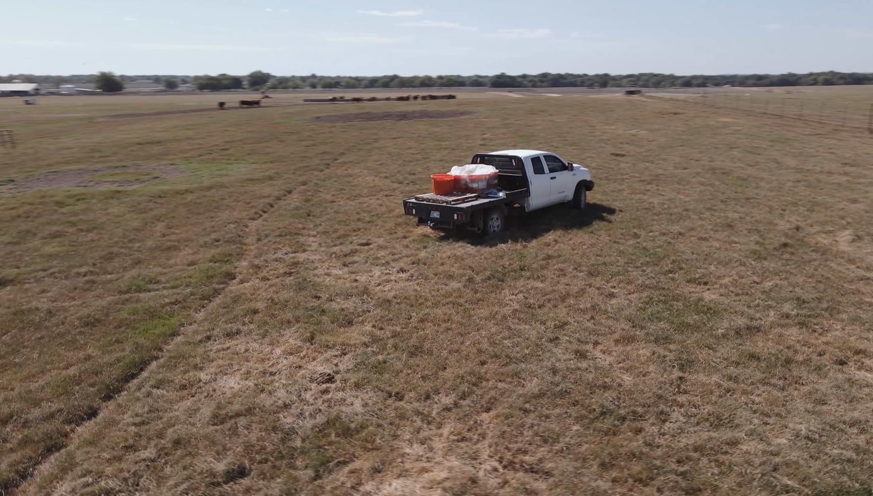 Screenshot 2025-11-03 145419