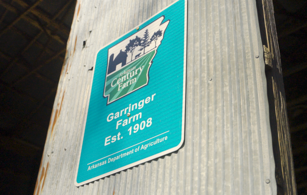 Screenshot 2026 02 02 152819