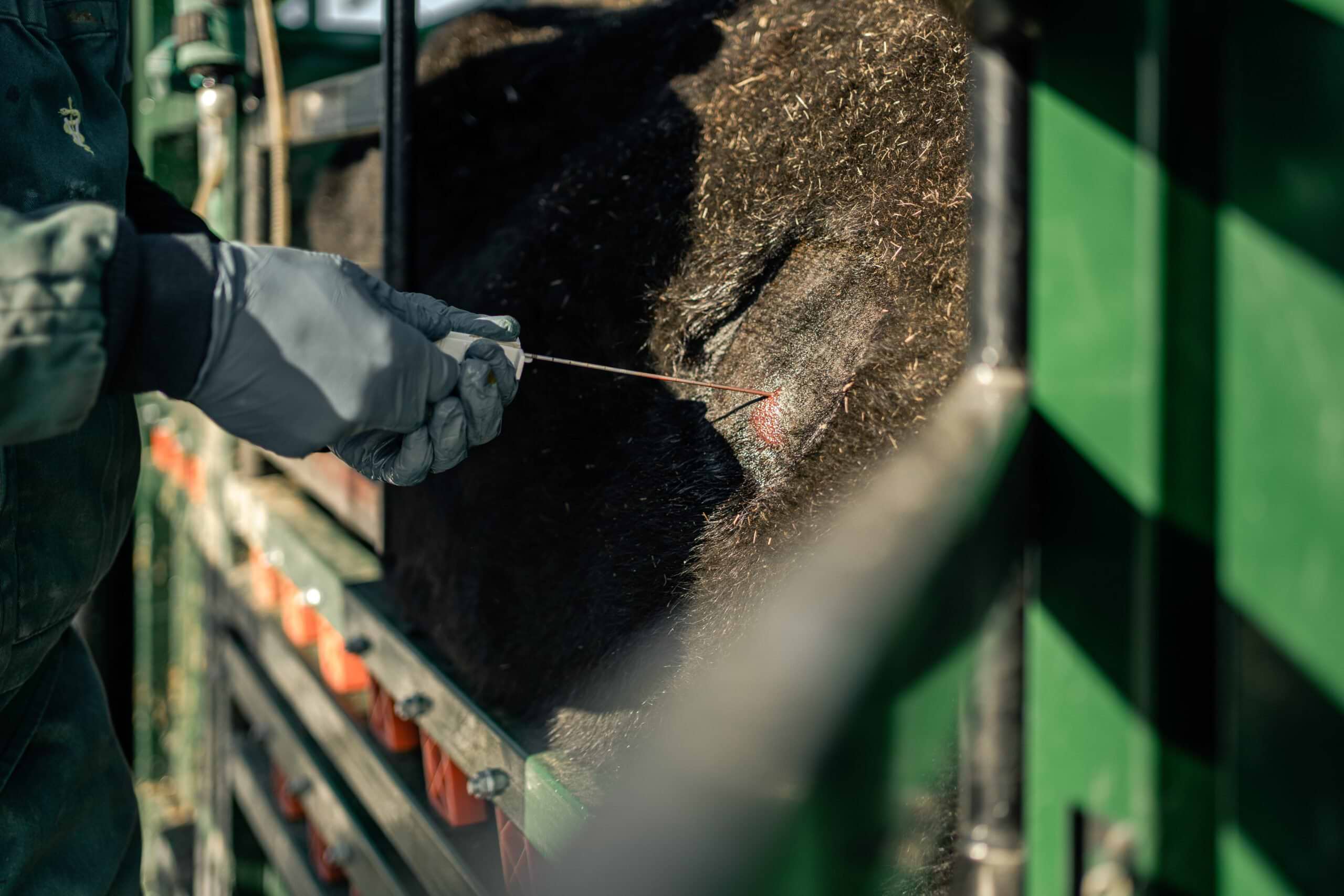 Liver Biopsies 1.18.22 45 scaled