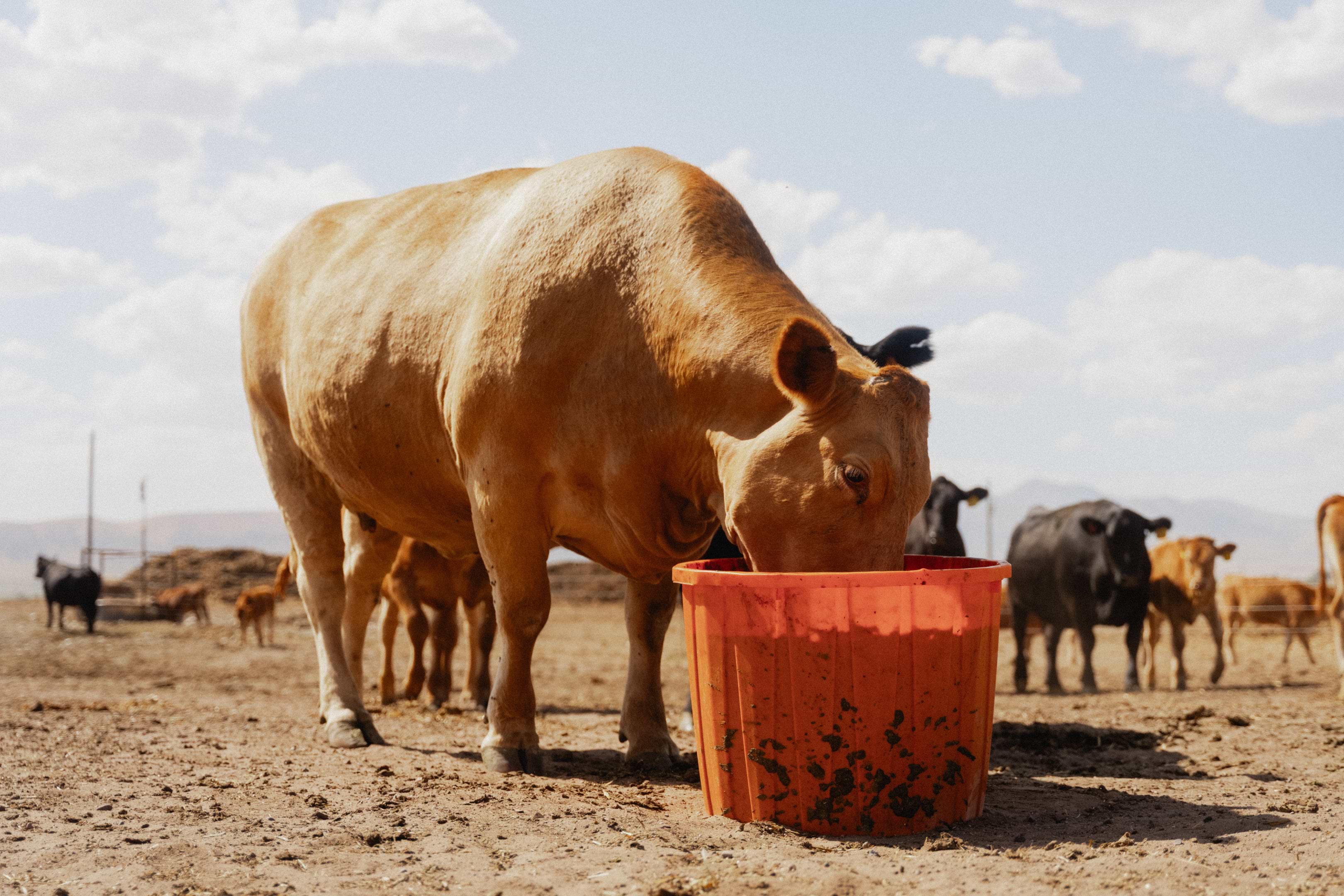 20250722 RM ID ContentTrip 05