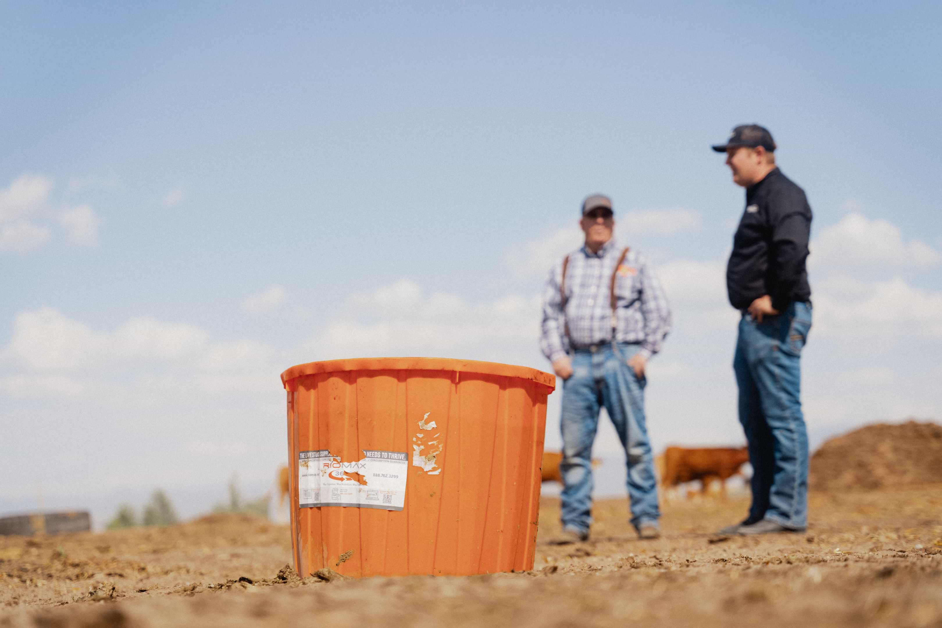 20250722 RM ID ContentTrip 07 OctoberNewsletter Edited