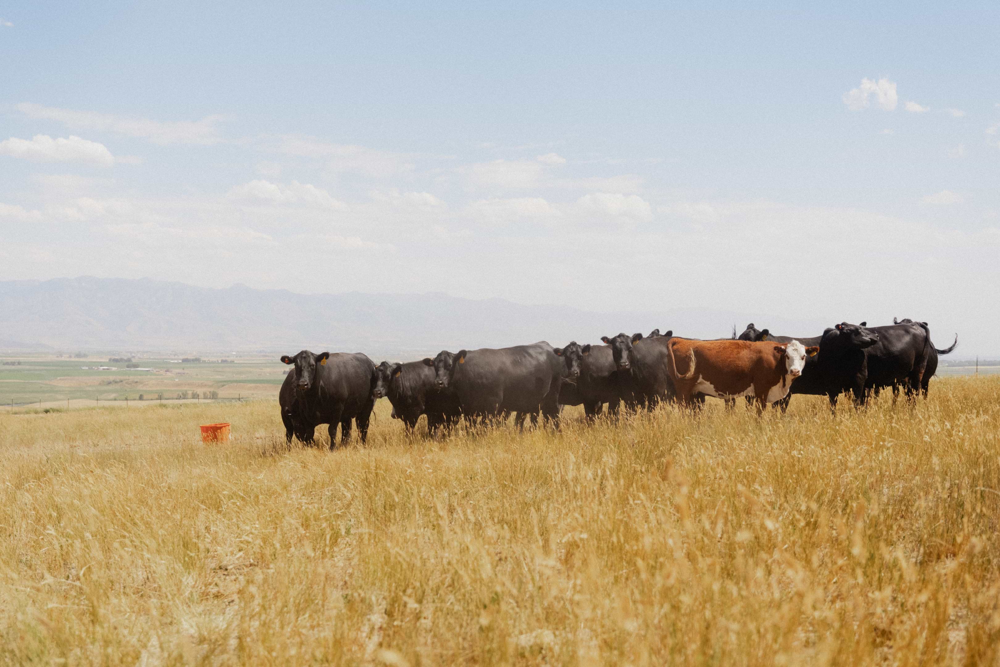 20250722 RM ID ContentTrip 15