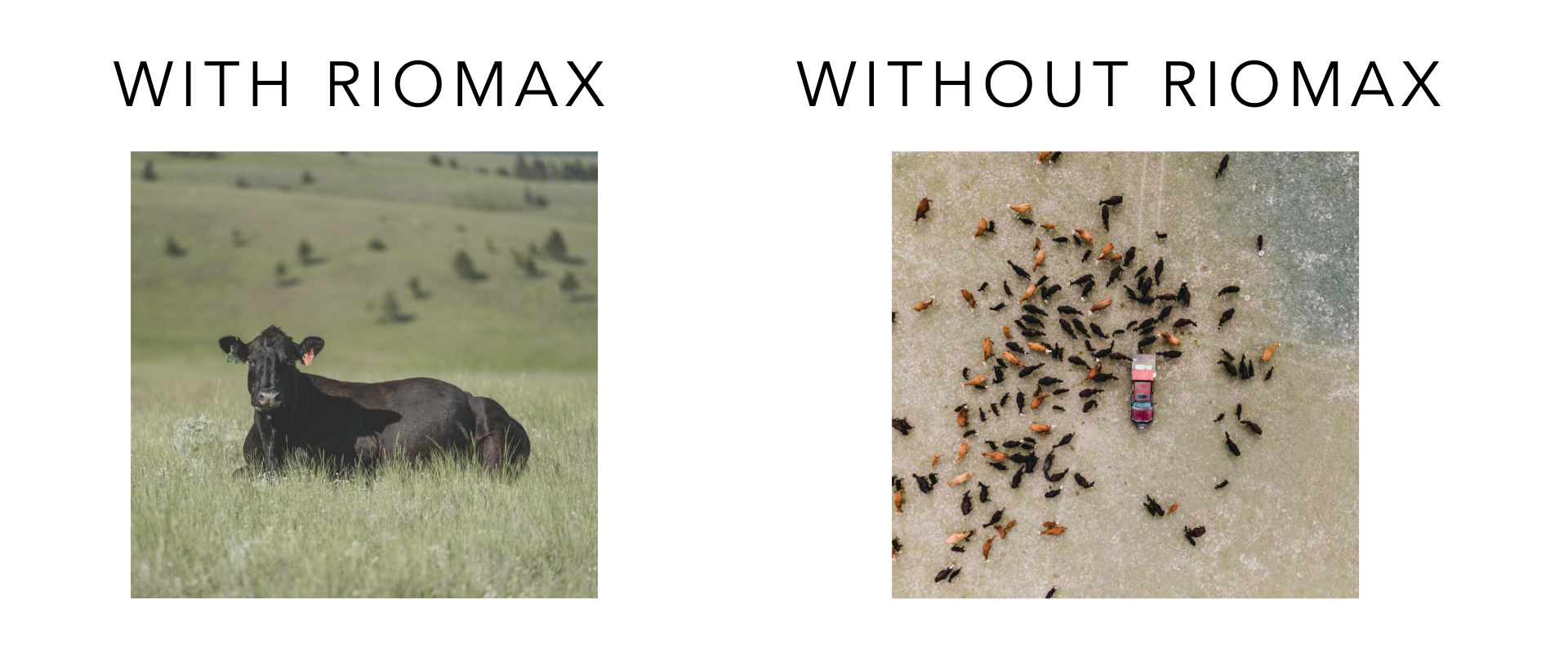 Physical changes email 1