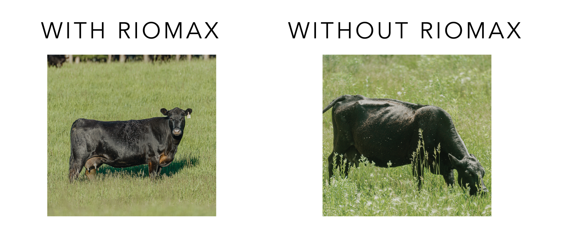 Physical changes email 2