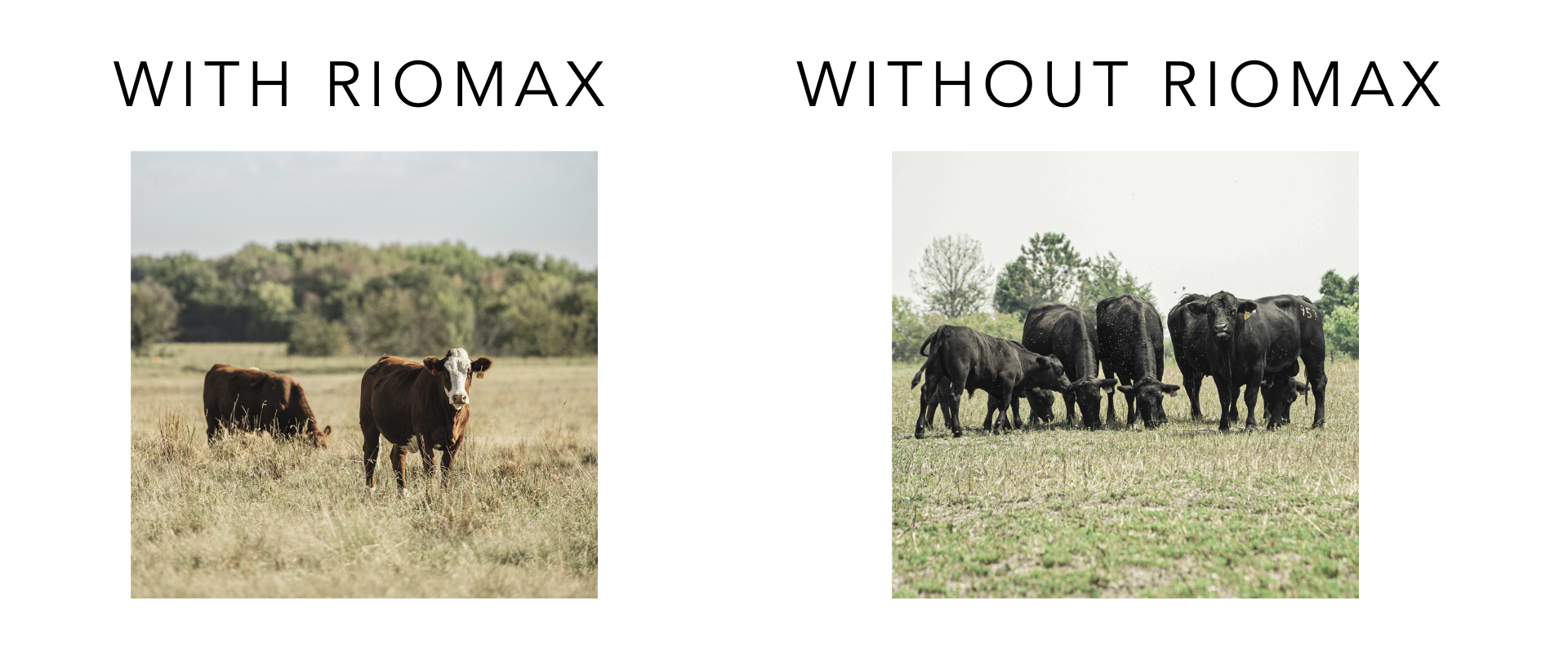 Physical changes email 3