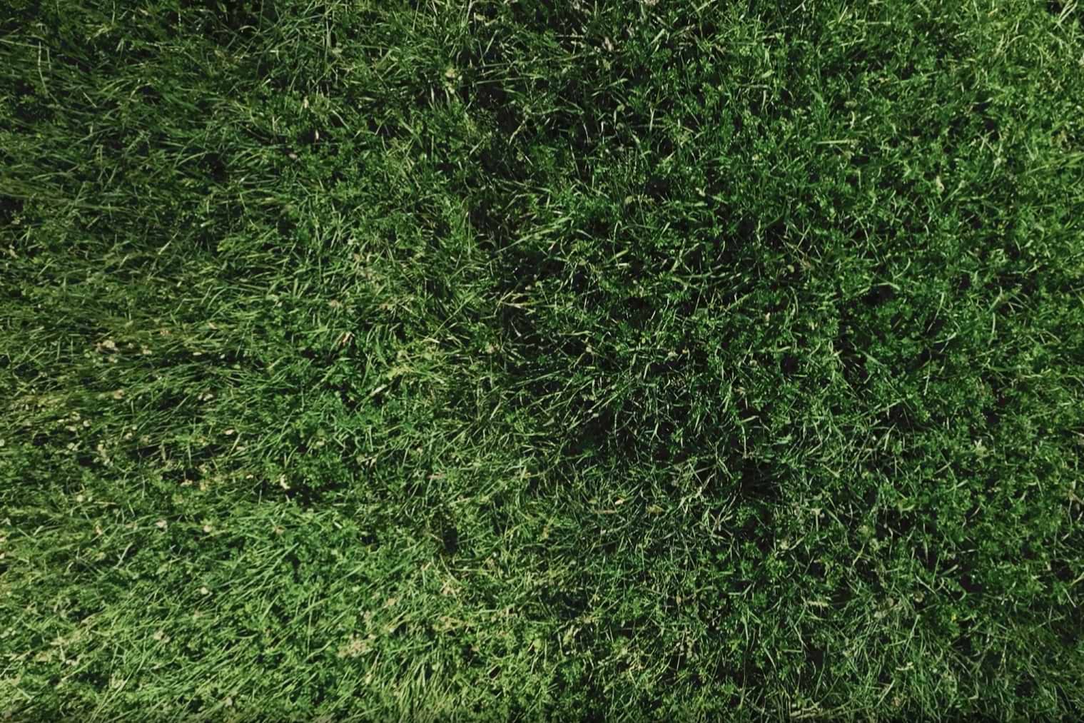 Screenshot 2025-10-01 104003