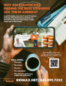 Screenshot 2026 02 18 163630