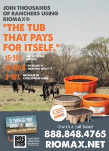 Screenshot 2026 02 18 165918