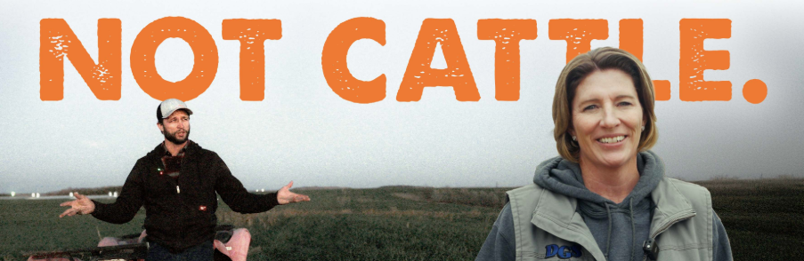 Screenshot 2026 03 02 100110